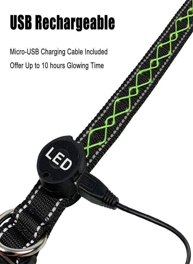 لوينت طوق كلاب أنيق مضيء من لوينت، طوق LED قابل لإعادة الشحن عبر منفذ USB - إضاءة آمنة في الظلام للمشي الليلي والتخييم | قابل للتعديل، مقاوم للماء، لون أخضر عالي الوضوح - Image 4